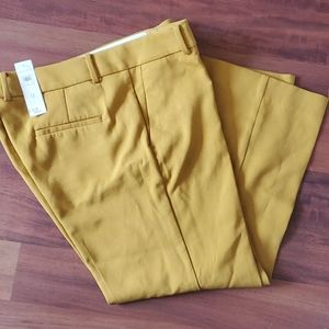 Mustard Yellow Ann Taylor Slacks